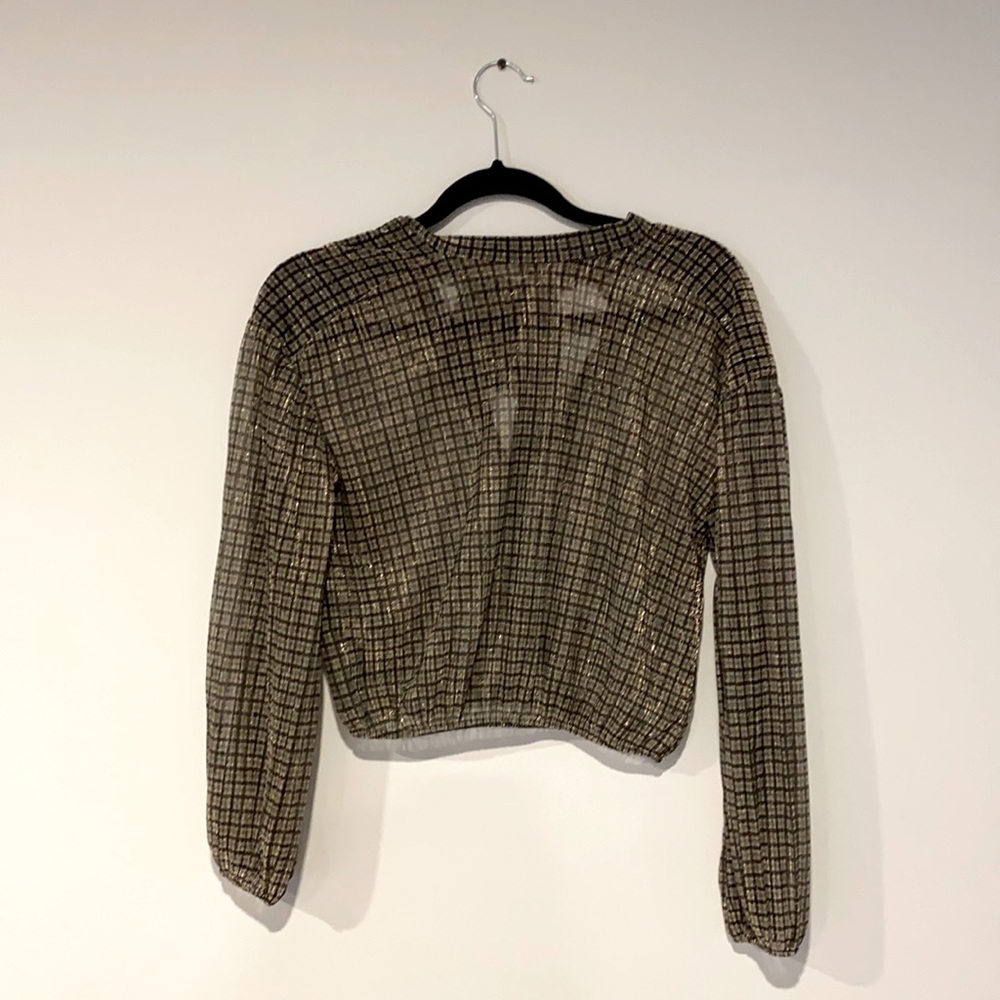 Zara Metallic Sheer Crop Top